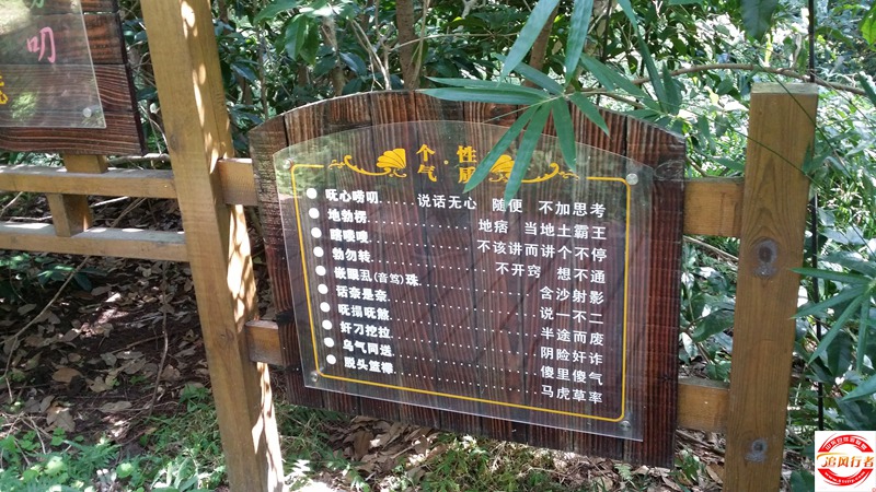 20151003_113115.jpg