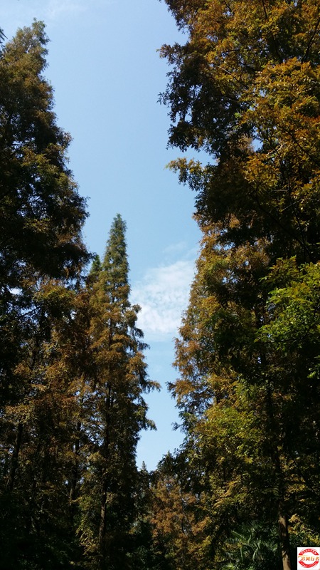 20151003_114808.jpg