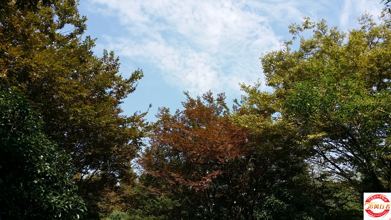 20151003_120216.jpg