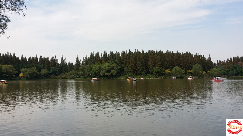 20151003_122207.jpg