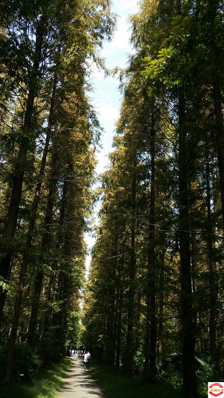 20151003_120432.jpg
