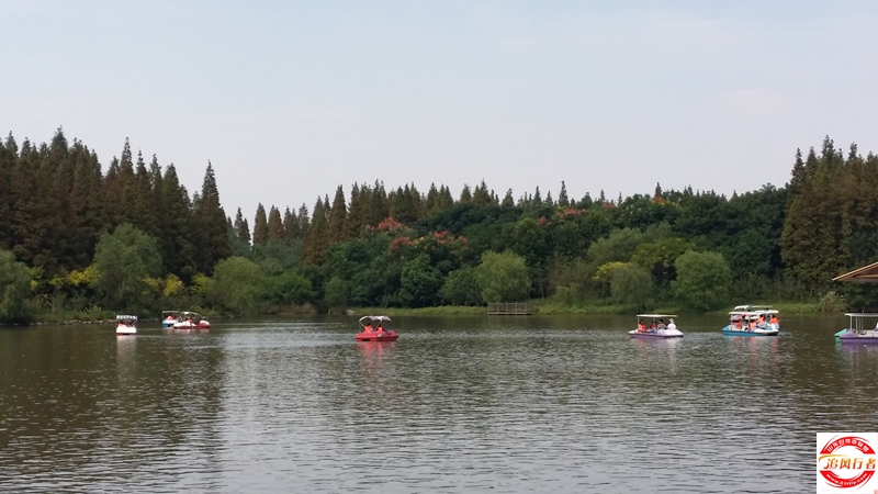 20151003_122226.jpg