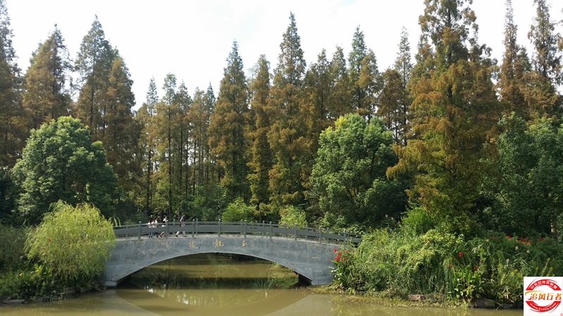 20151003_125134.jpg