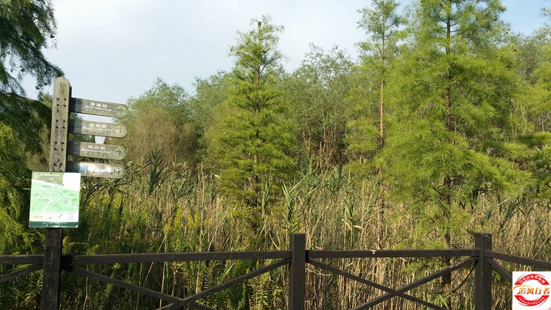 20151003_152410.jpg