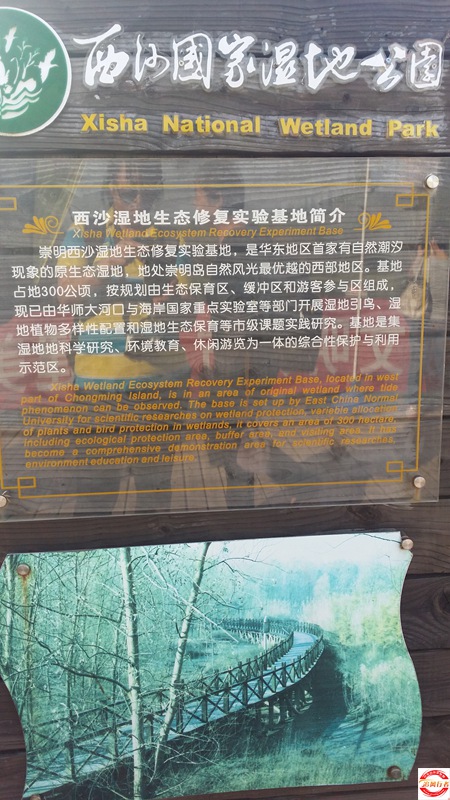 20151003_151058.jpg
