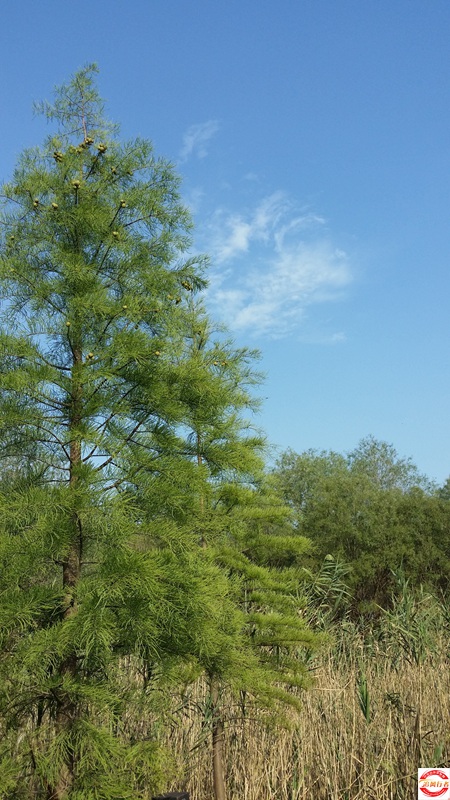20151003_152450.jpg