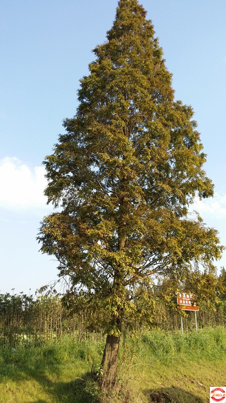 20151003_160639.jpg