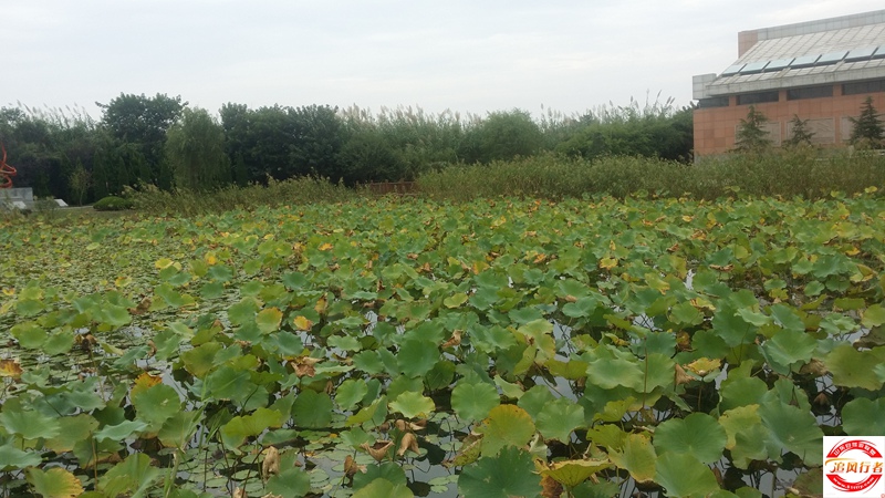 20151004_094256.jpg