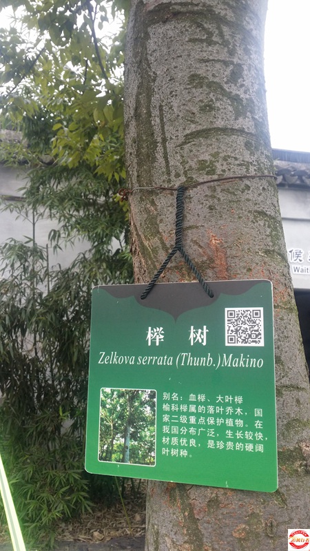 20151004_102405.jpg