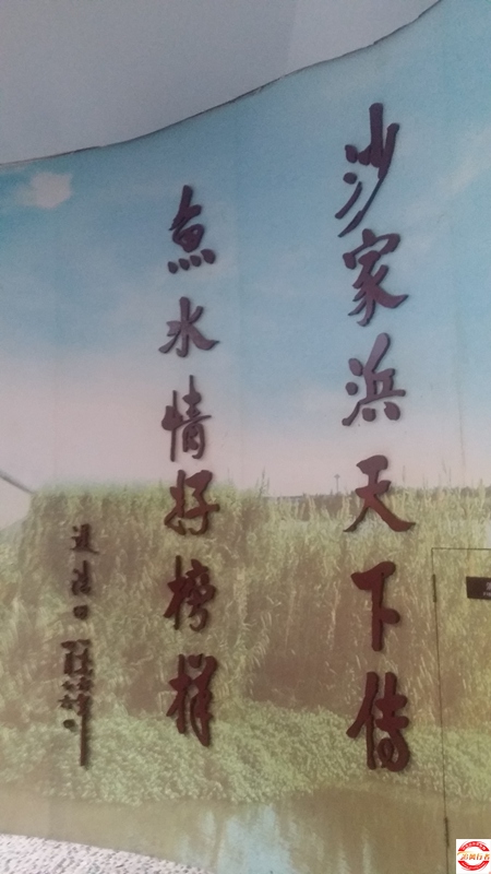 20151004_095040.jpg