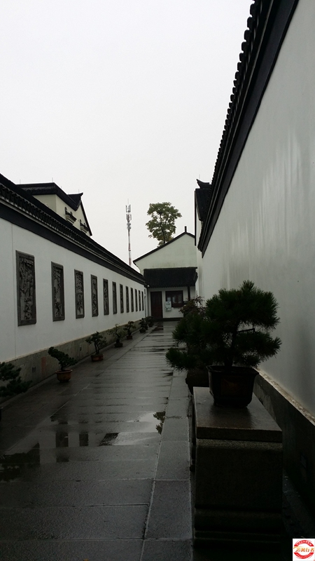 20151005_103031.jpg