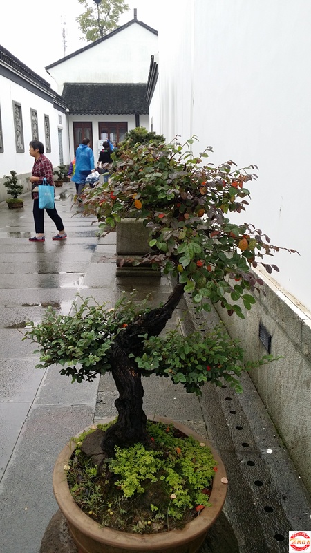 20151005_103359.jpg