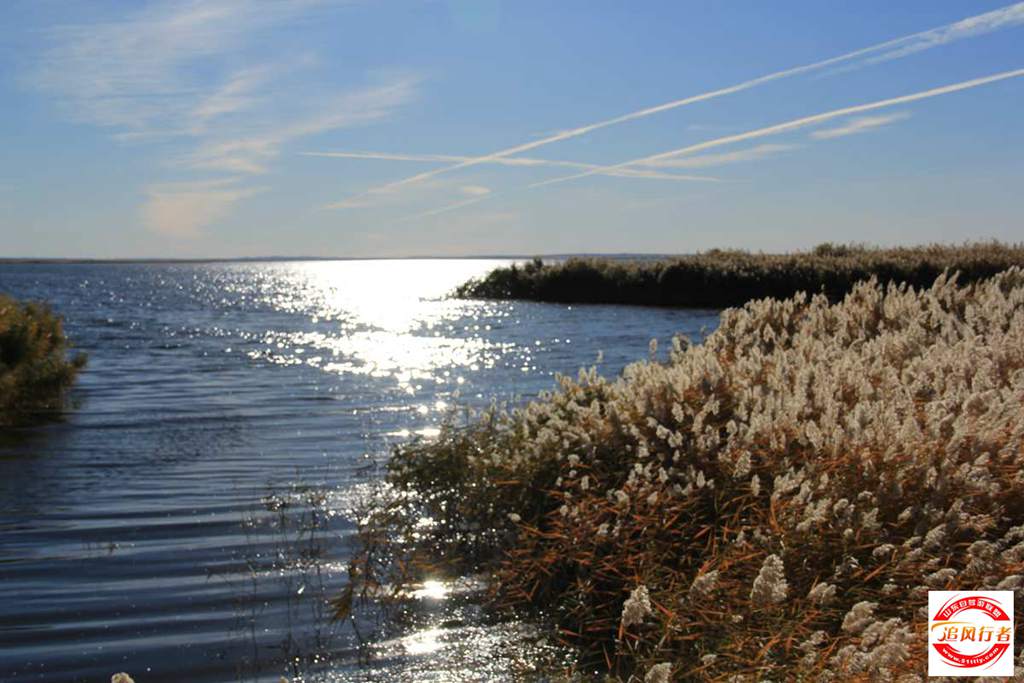 IMG_2798.jpg