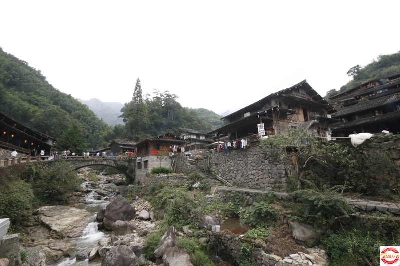 _MG_1169.JPG