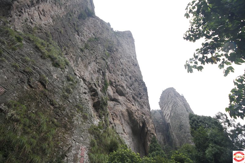 _MG_1333.JPG