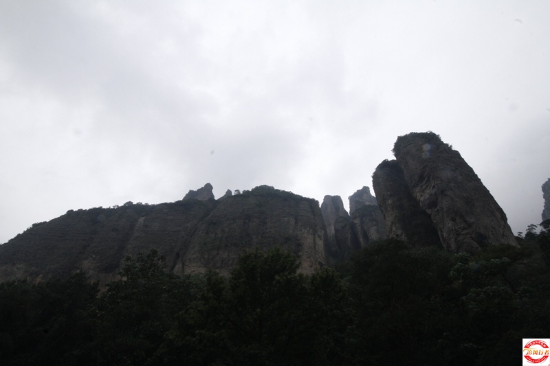 _MG_1335.JPG