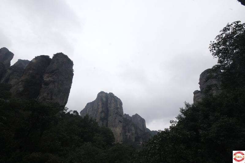 _MG_1338.JPG