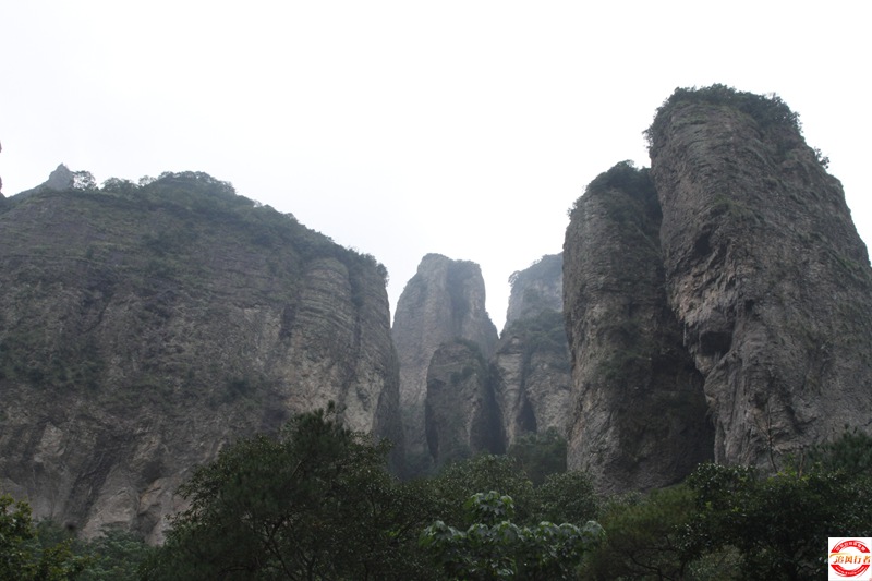 _MG_1337.JPG