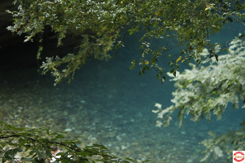 _MG_1321.JPG