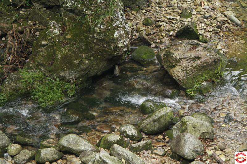 _MG_1343.JPG