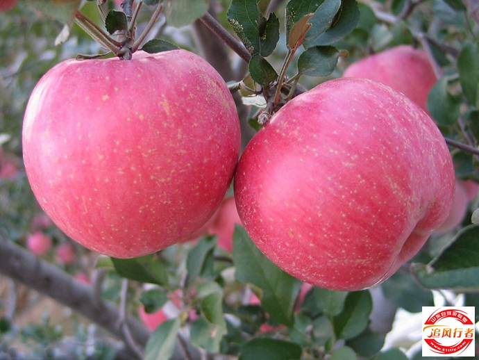 02140552N28.jpg
