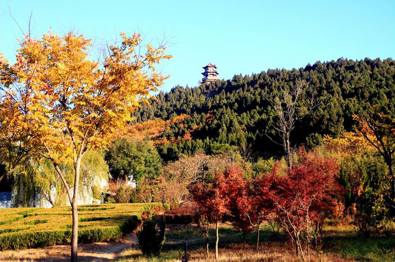 021413033R5.jpg