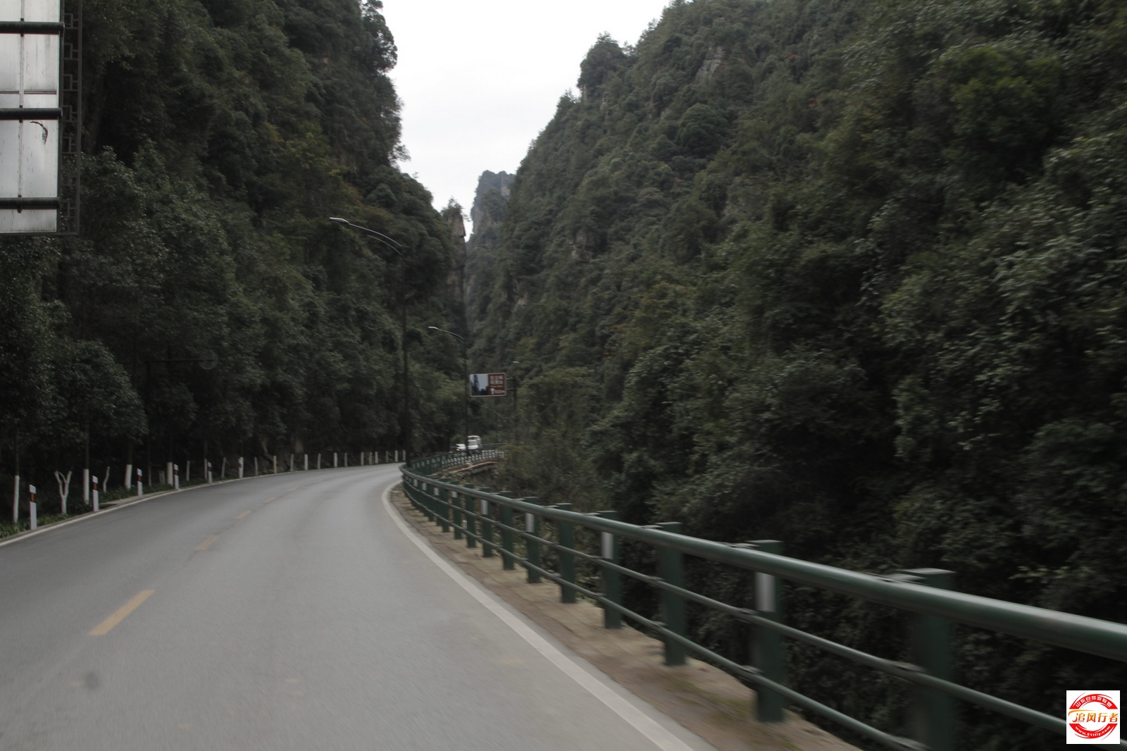 _MG_2515.jpg