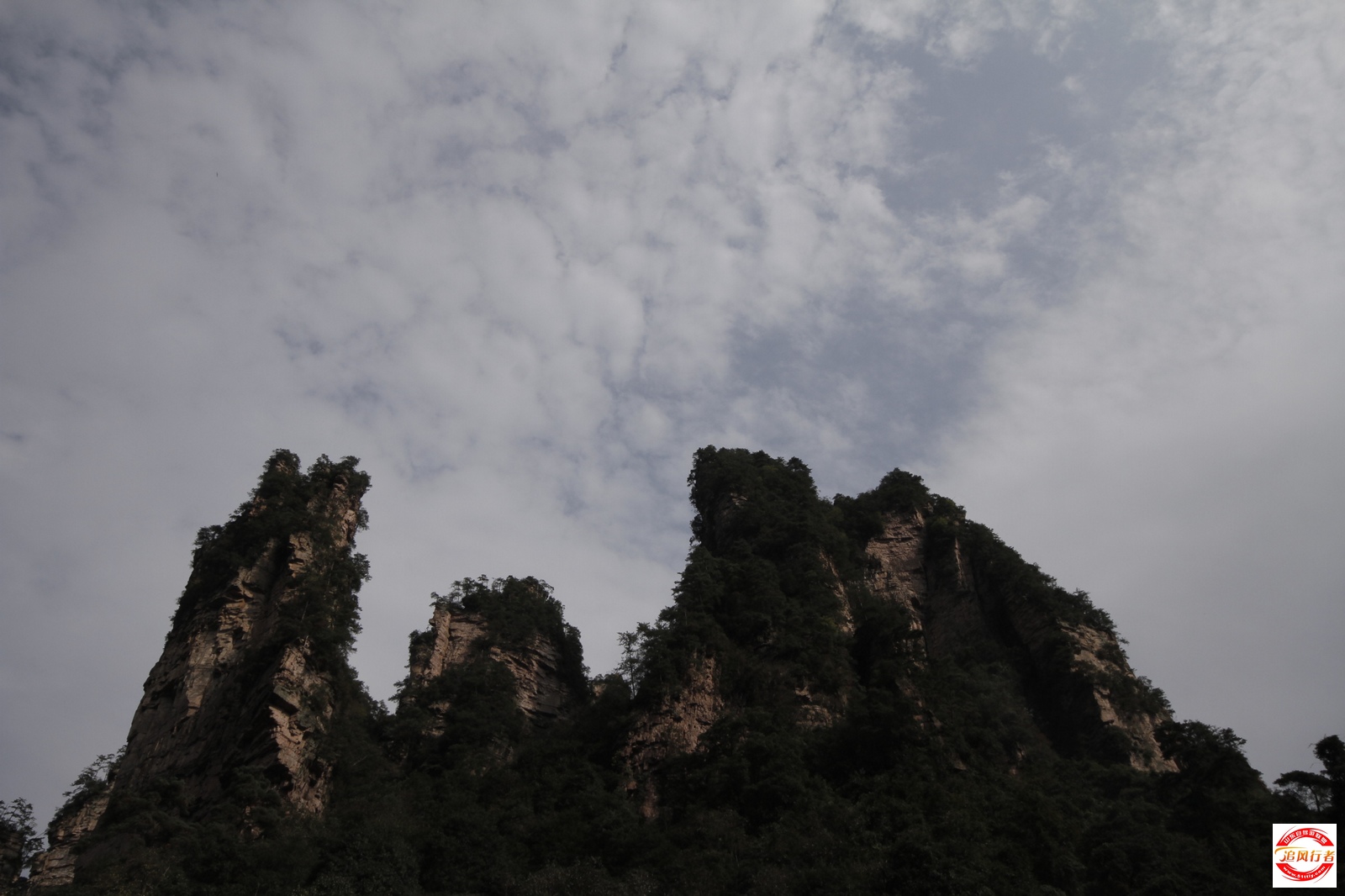 _MG_2544.jpg