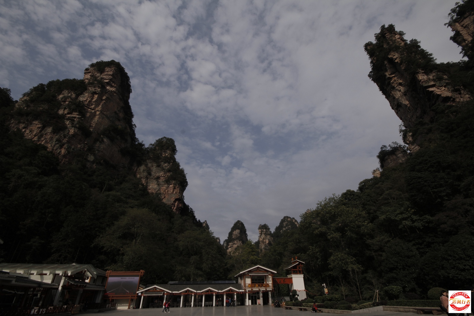 _MG_2547.jpg