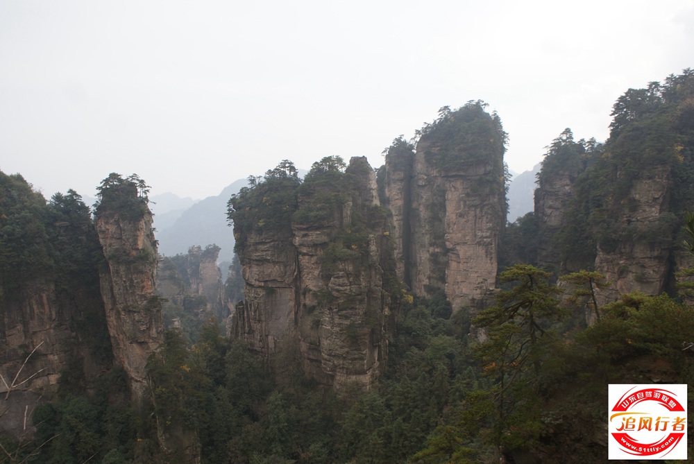 DSC04971.JPG
