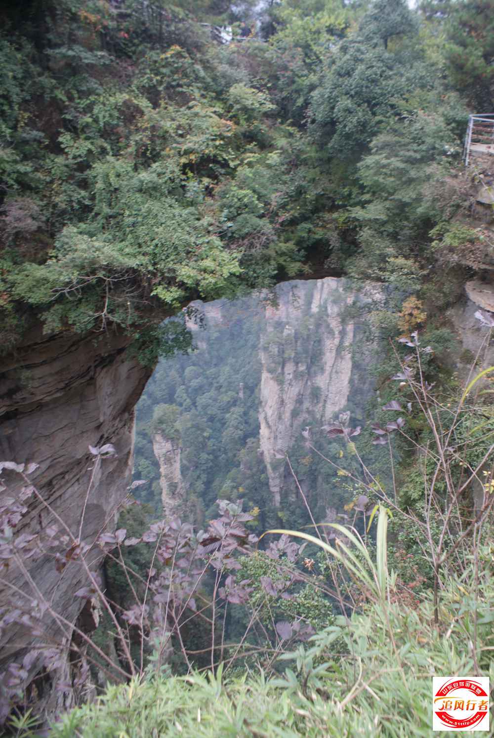 DSC05440.JPG