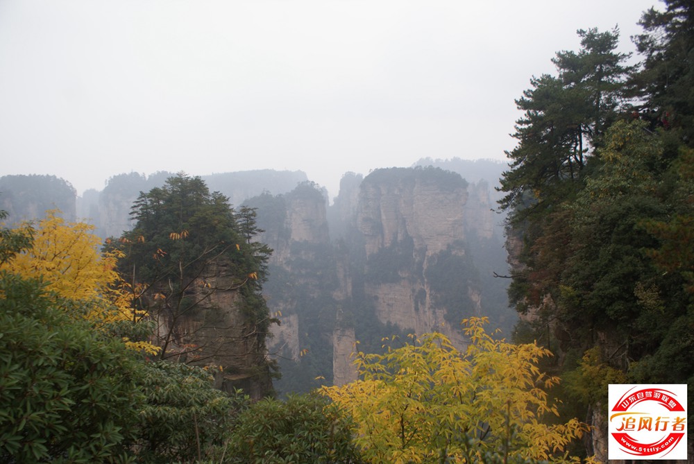 DSC05506.JPG