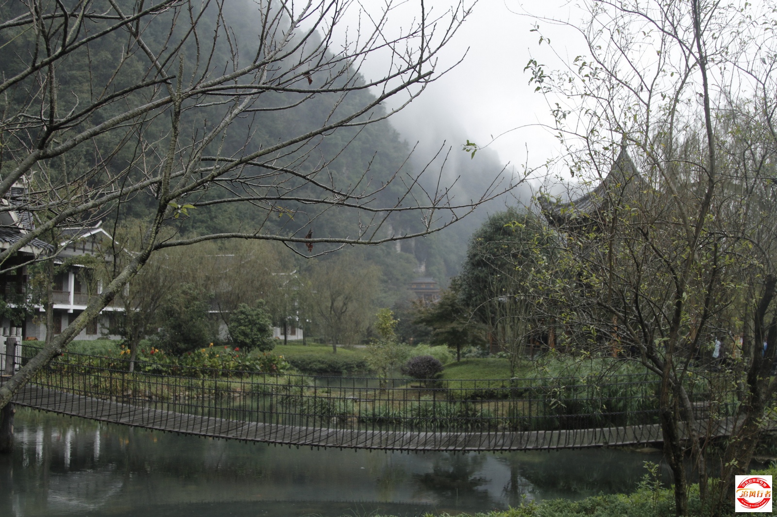 _MG_2847.jpg