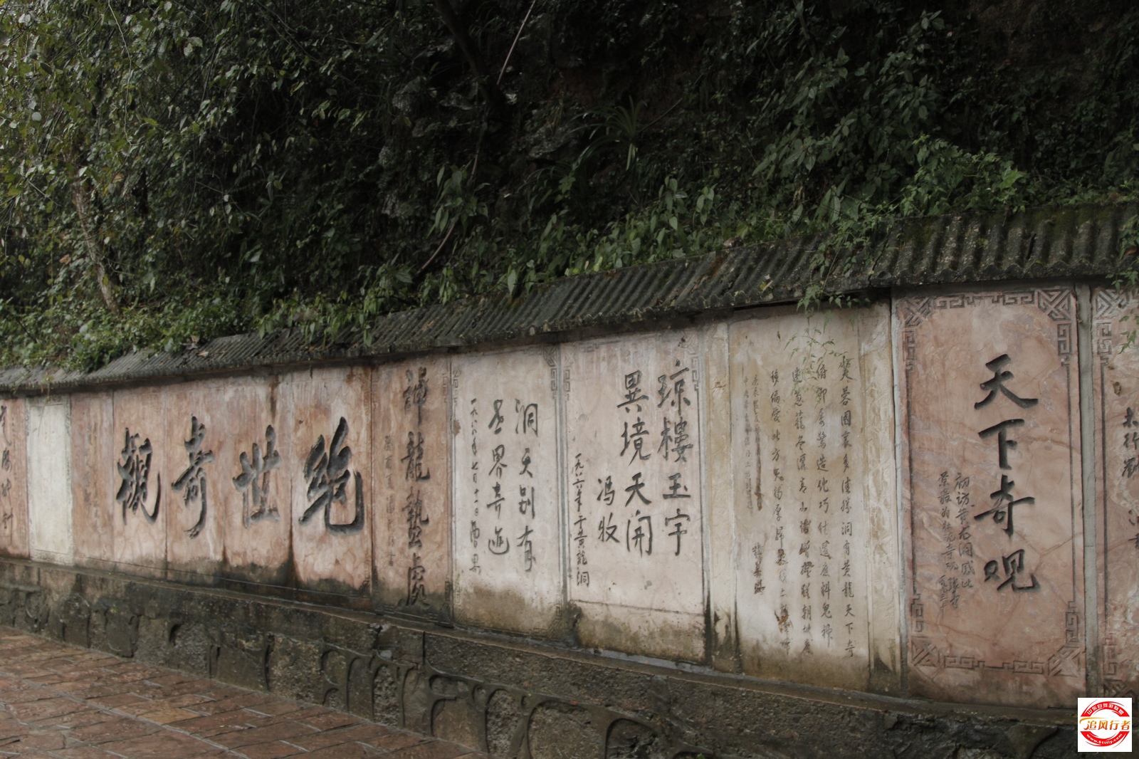 _MG_2850.jpg