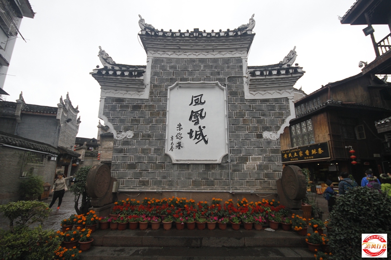 _MG_9228.JPG