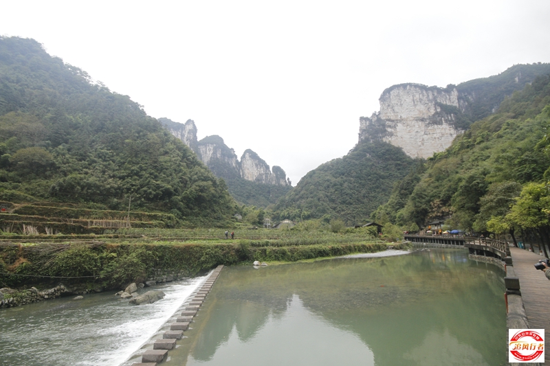 _MG_9723.JPG