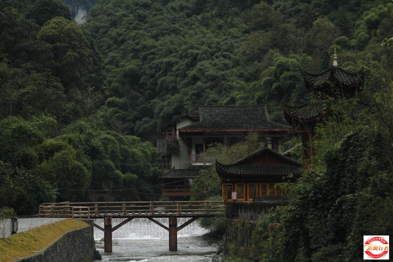_MG_9726.JPG