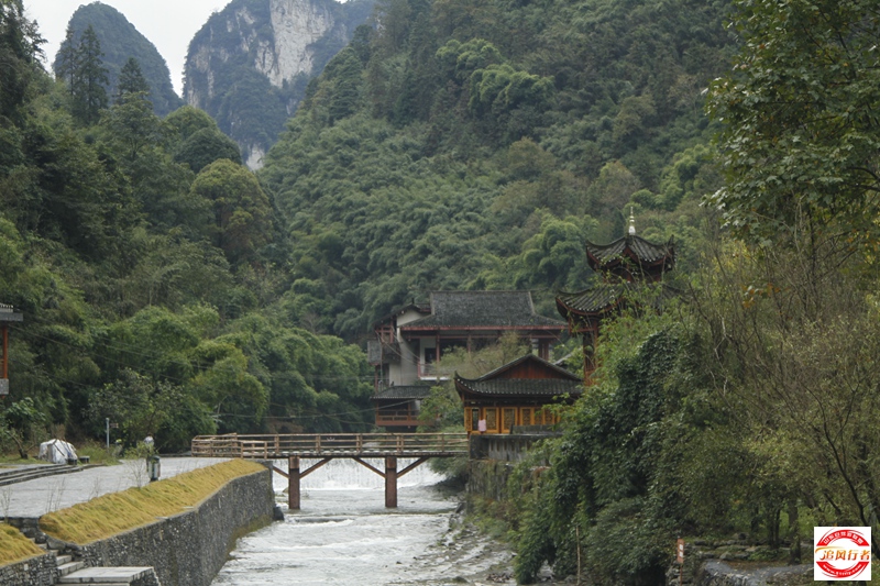 _MG_9727.JPG