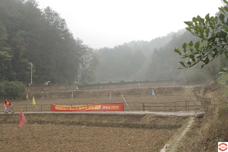 _MG_3688.jpg