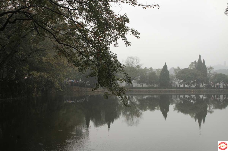 _MG_3698.jpg