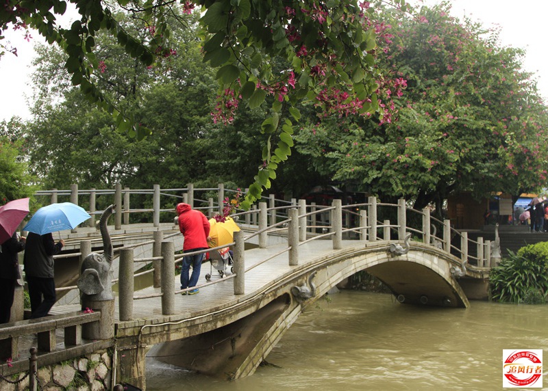 _MG_3840.jpg