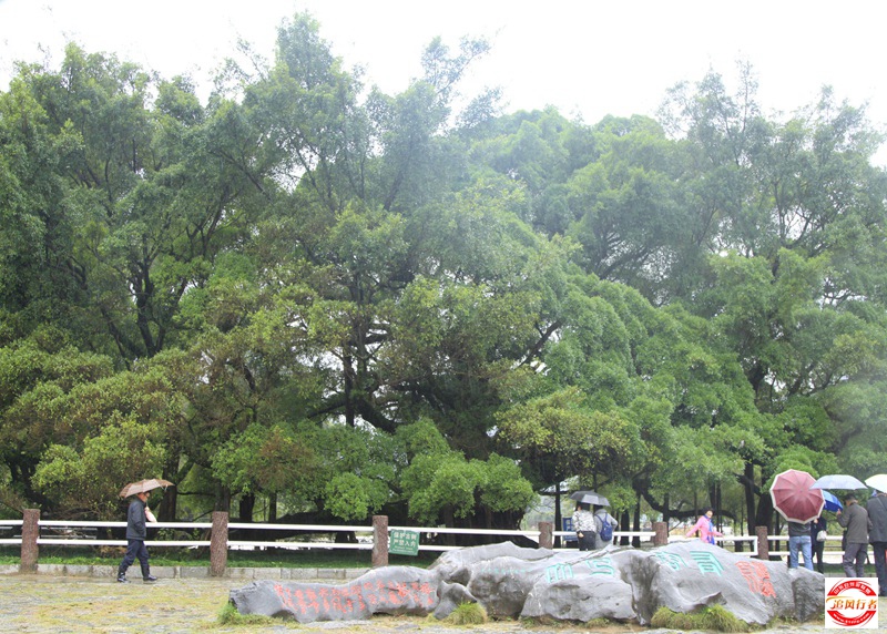 _MG_4284.jpg