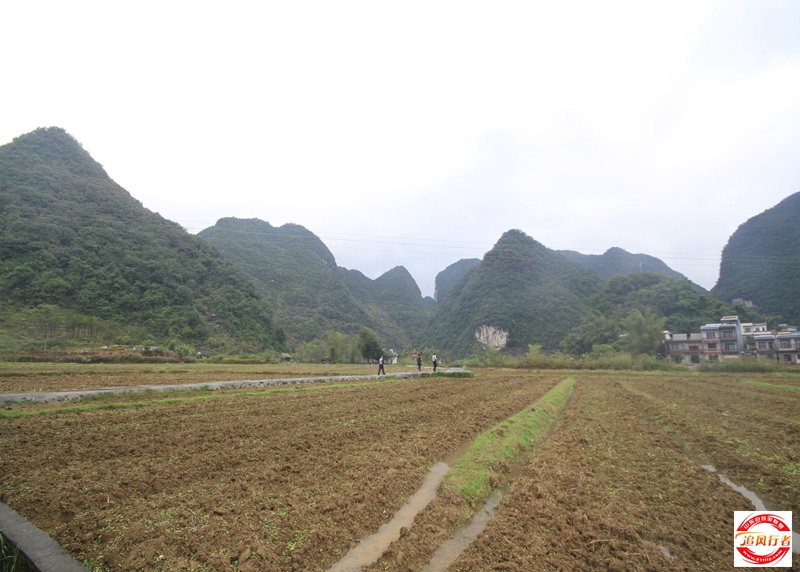 _MG_4800.jpg