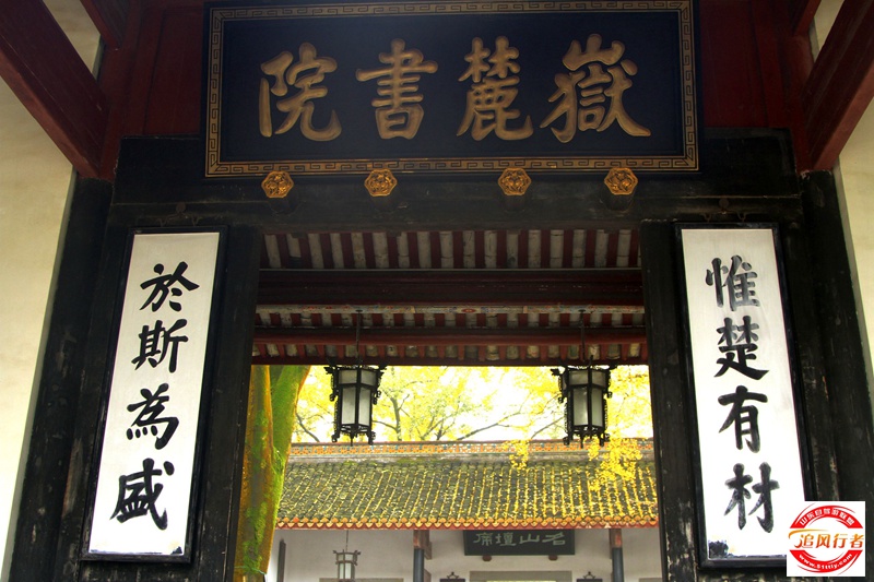 _MG_5443_.jpg