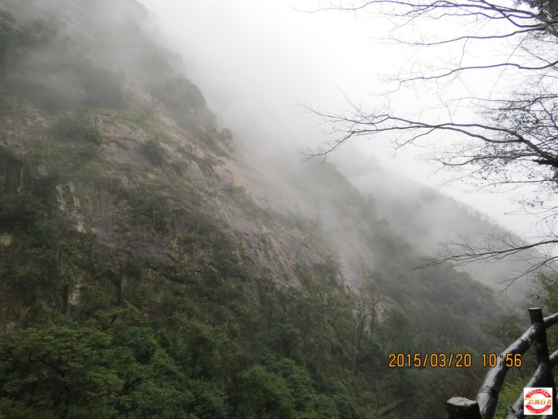 IMG_1414.jpg