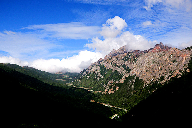 DSC_0878_.jpg