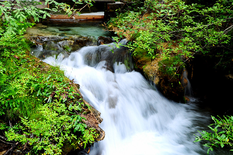 DSC_1690_.jpg