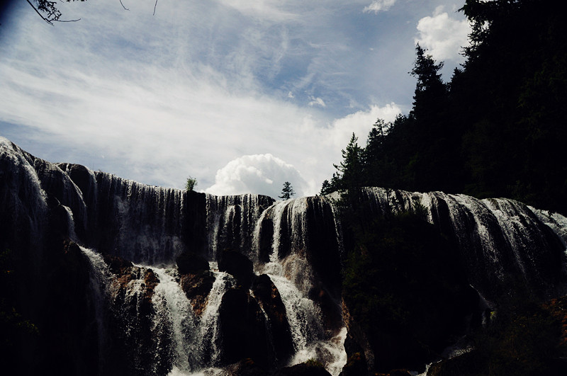 DSC_2279_.jpg