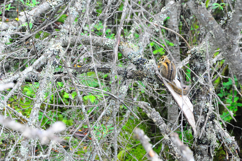 DSC_1696_.jpg