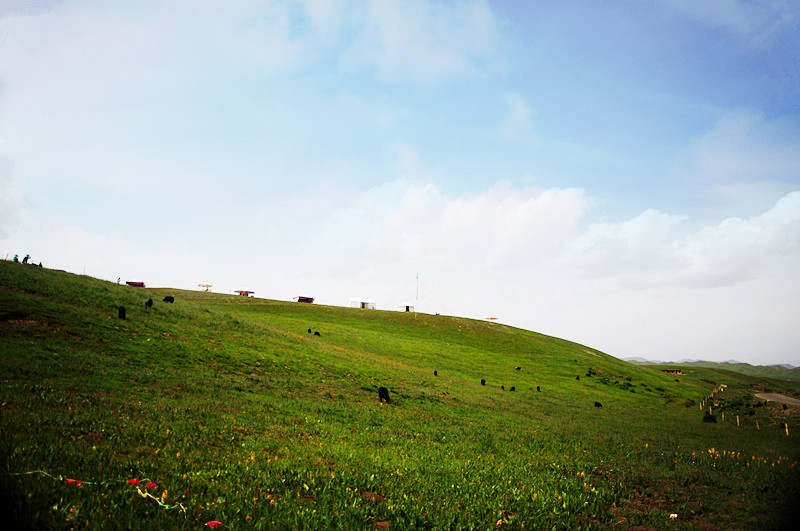 DSC_8963_.jpg